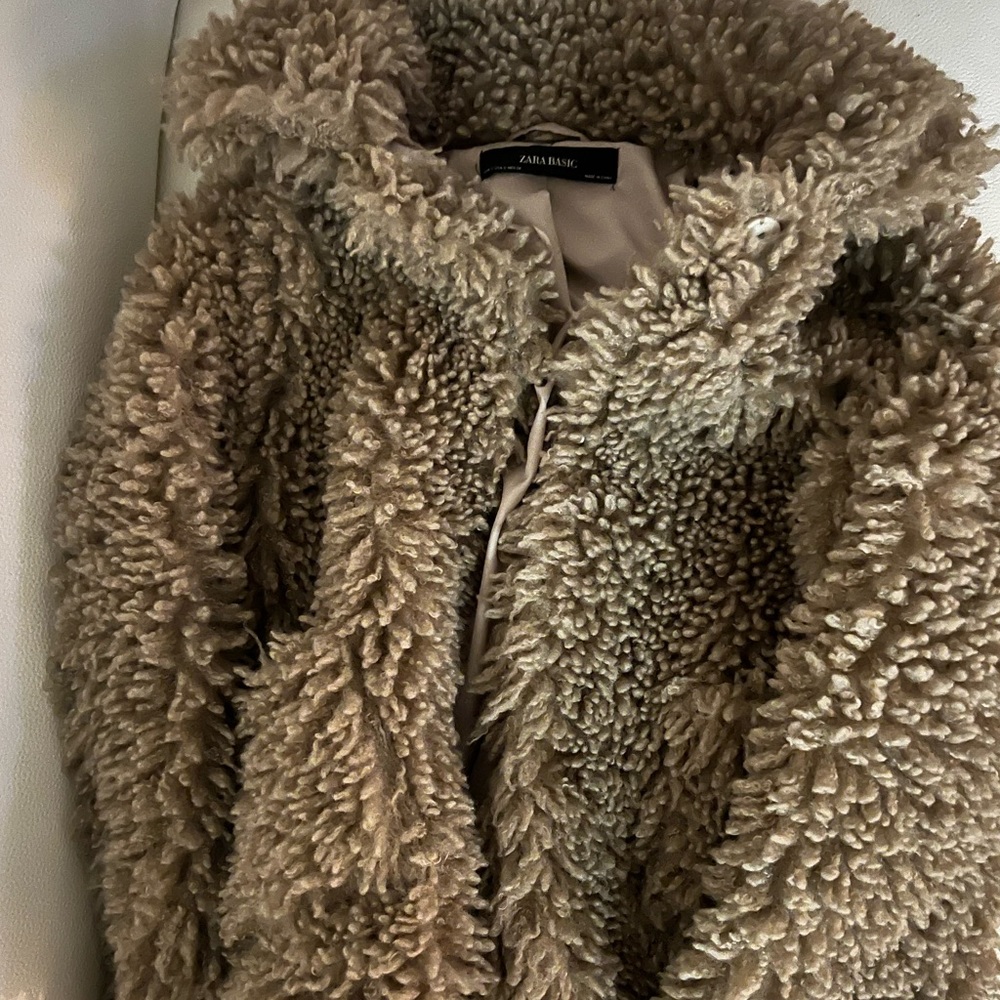 Zara Fuzzy Coat